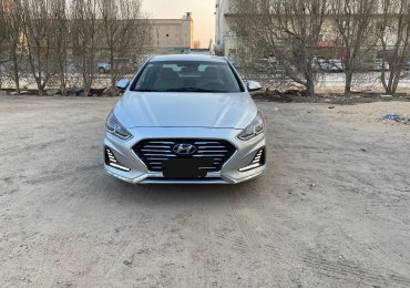 الاحساء -المبرز